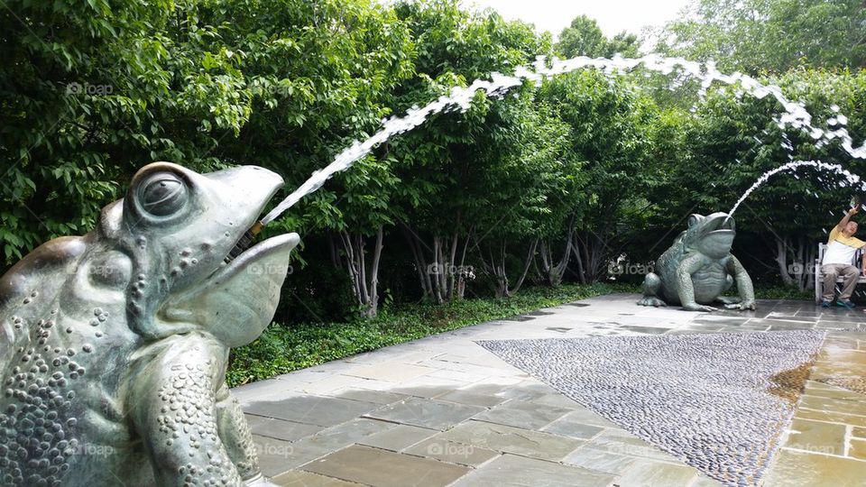 Catch a drip of water