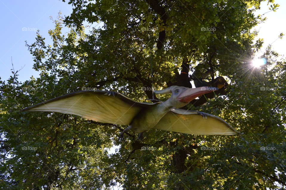 Flying dinosaur pterodactly