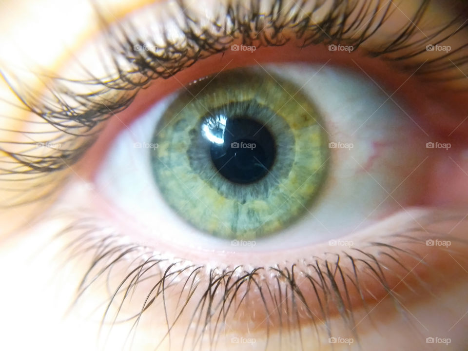 Macro green eye