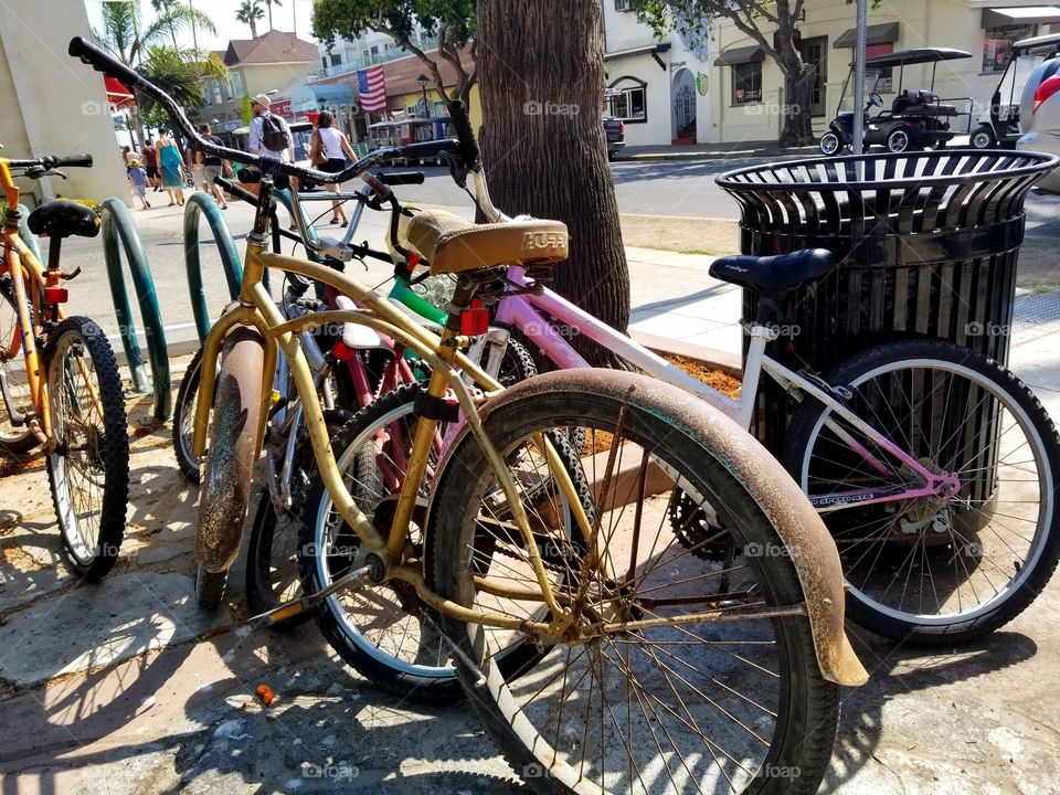 Catalina Bicycle