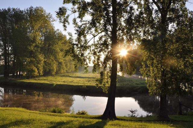 Sunny Roer.