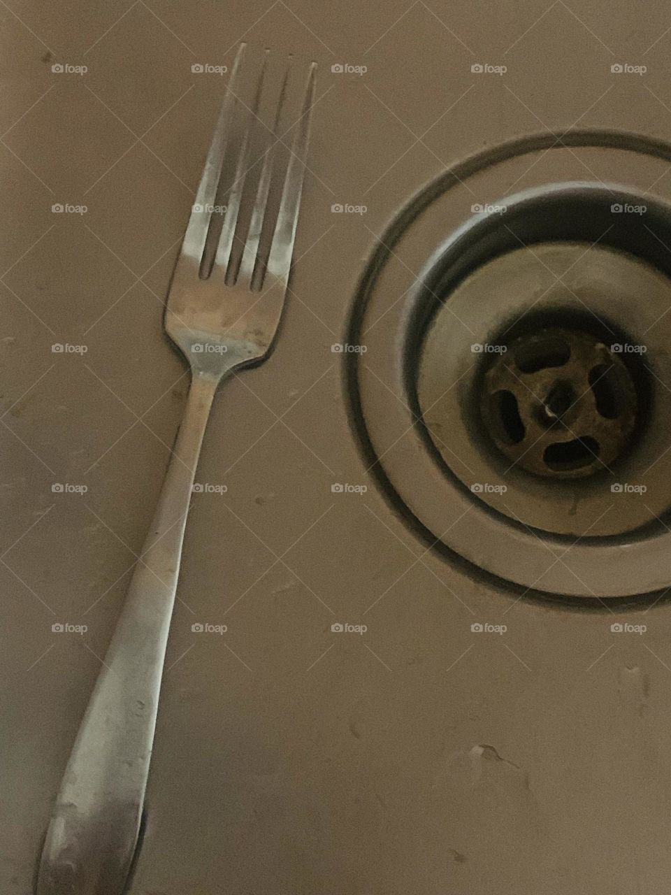 Used fork 