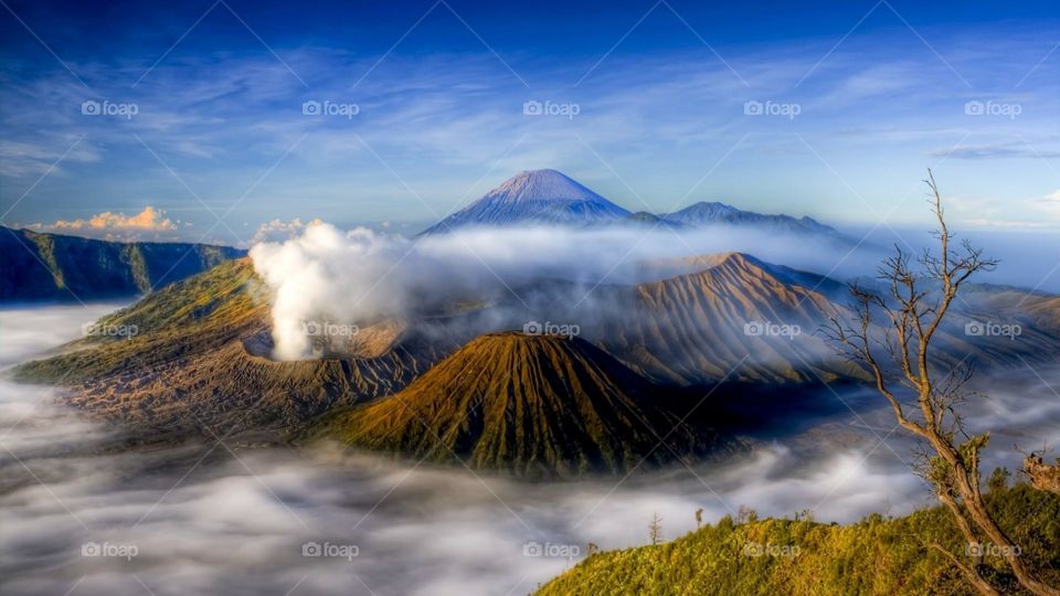 Bromo mountain is wonderful INDONESIA