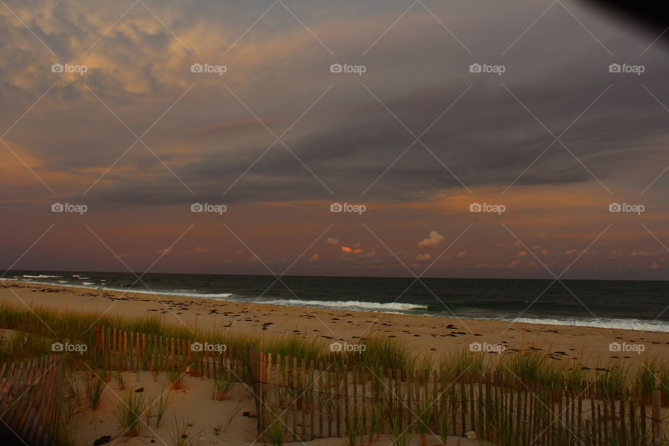 Scenic view of nature