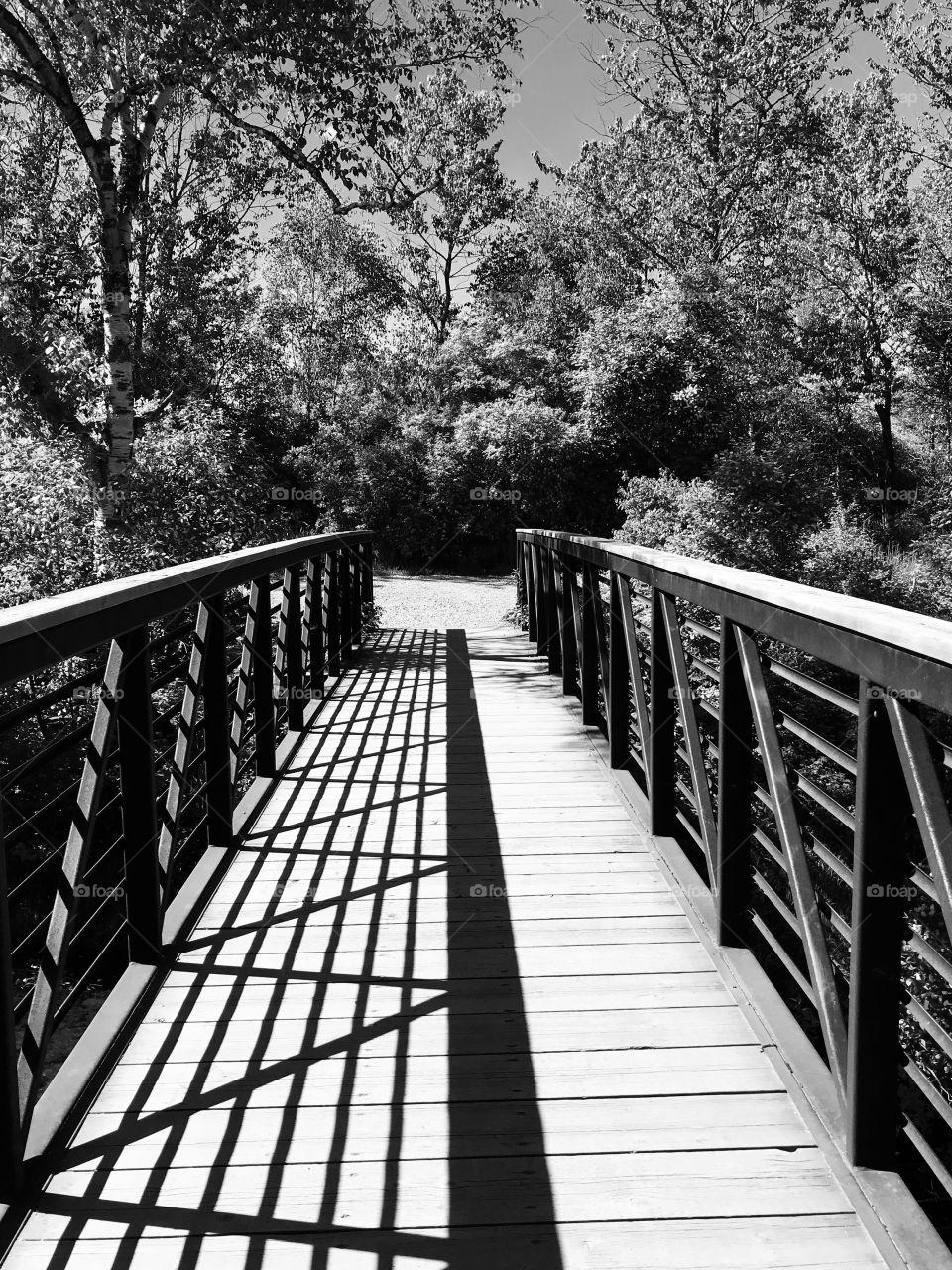 Wooden bridge in black and white with shadow