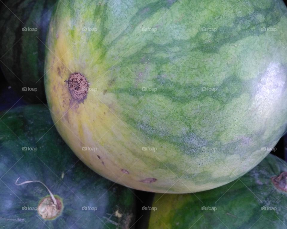 Fresh watermelon on the market