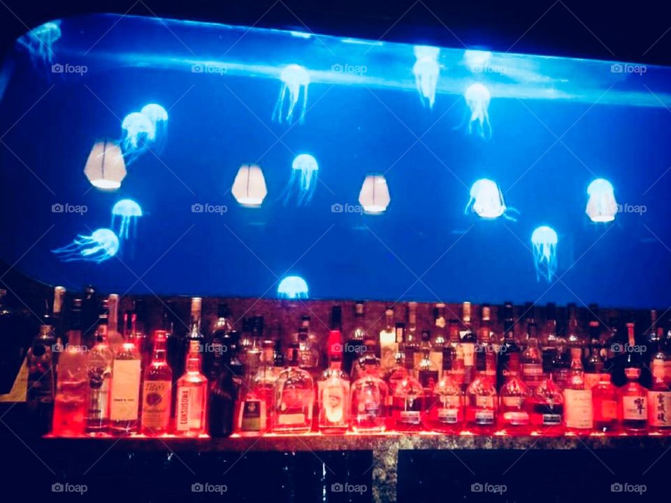 They say jellyfish, such as Sea Nettles, glow in the dark to frighten away predators. But why am I lured by their beauty?