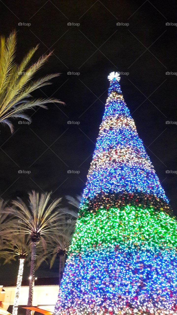 Illuminated Decorations