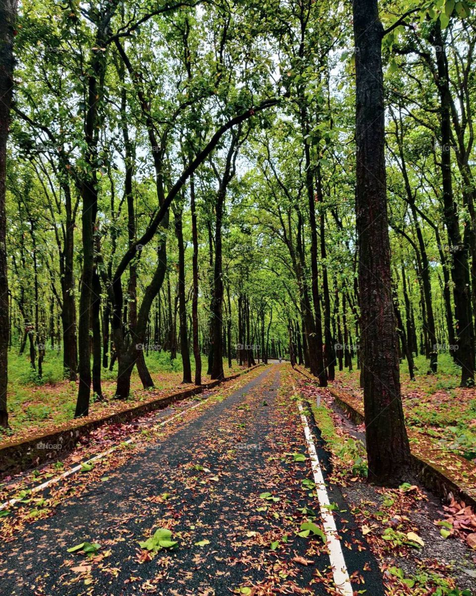 "some  beautiful  path can't be discovered without  getting lost."