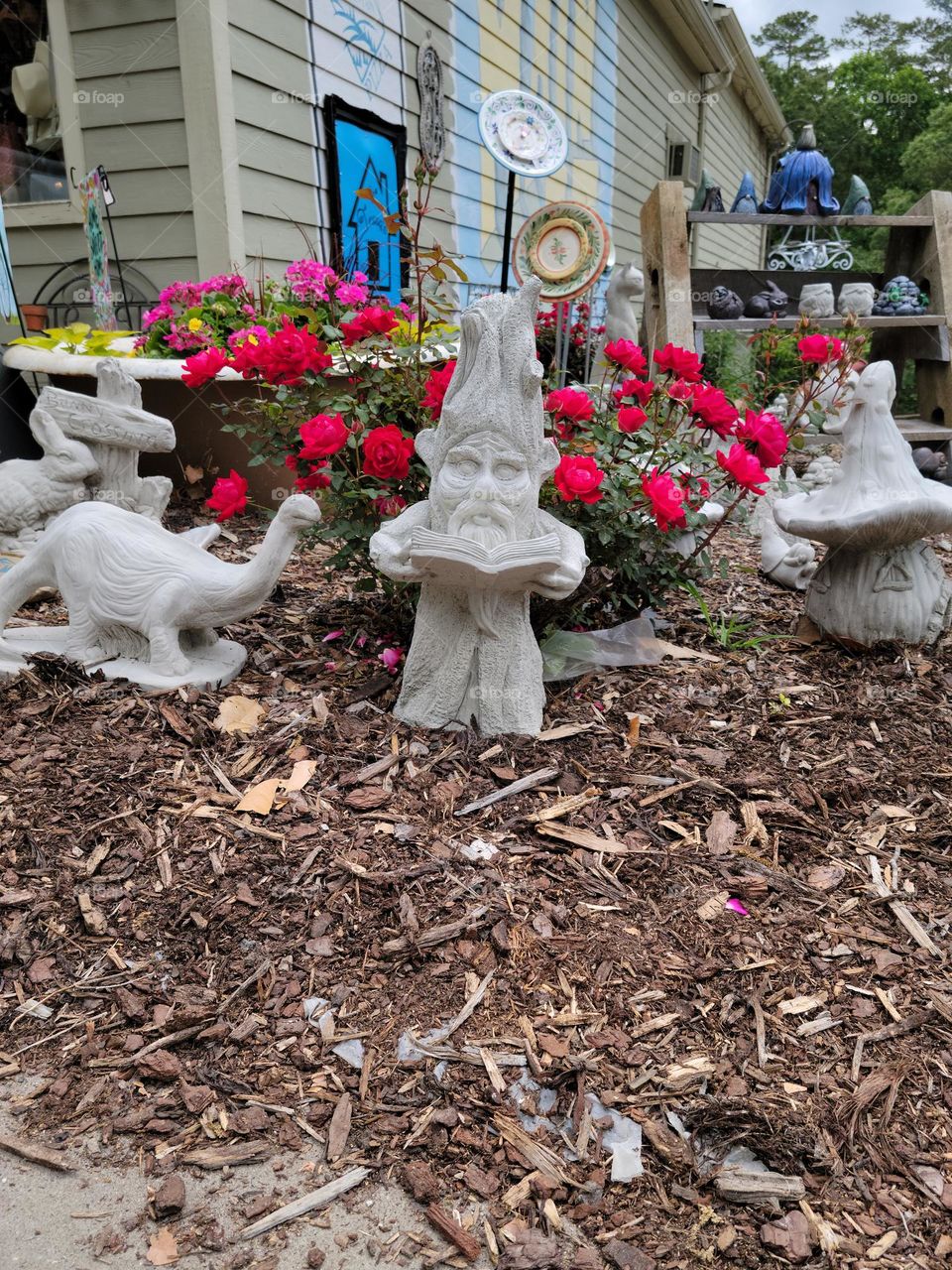 Flowers and gnomes