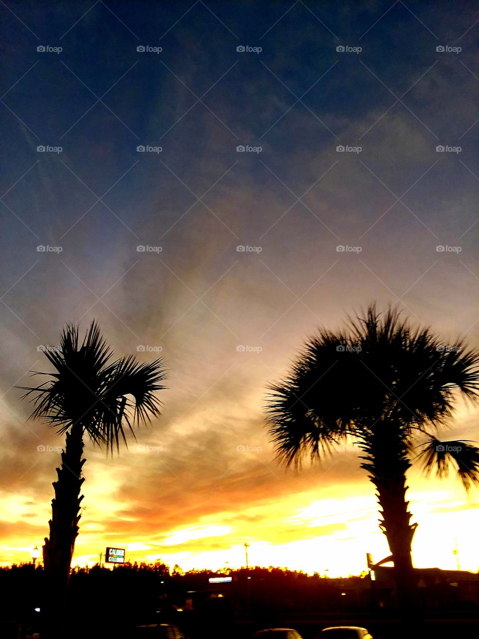 natural light vs artificial light sunset over artificial light from signs and business  and cars