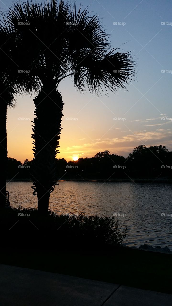Take Your Breath Away.. Walking around Cranes Roost in Altamonte Springs, FL