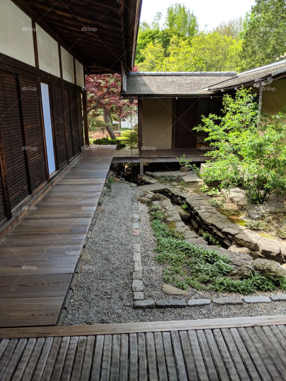 Peaceful Japanese tea house courtyard with dappled light.