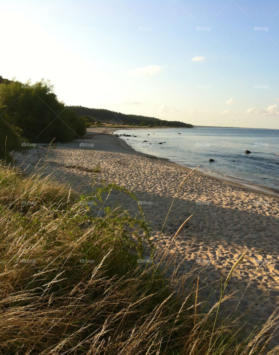 beach sweden grass shadows by chattis