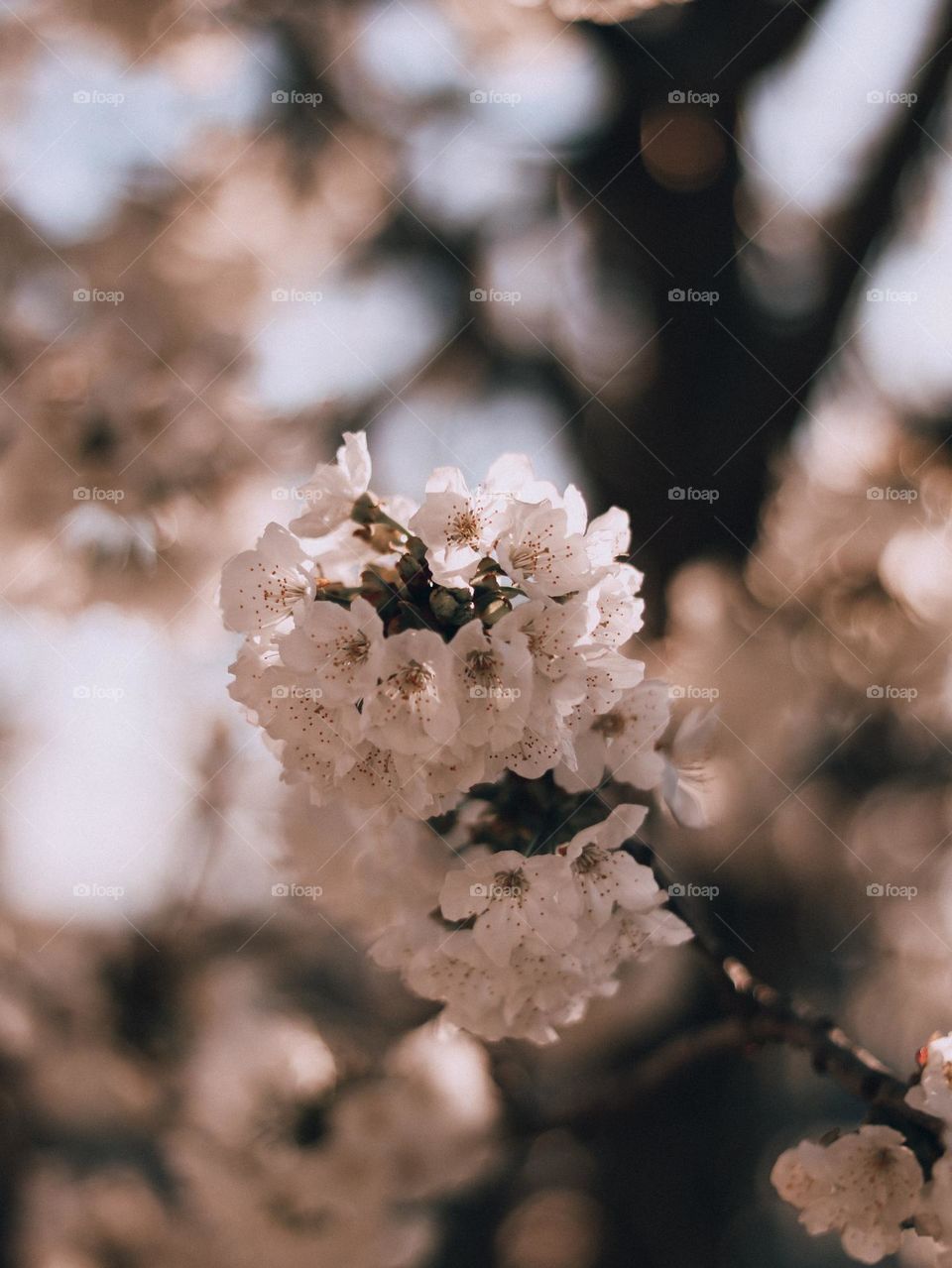 Dare to be different.  Each color in this photo will be experienced differently by each of us.  How beautiful life is.  Is it?