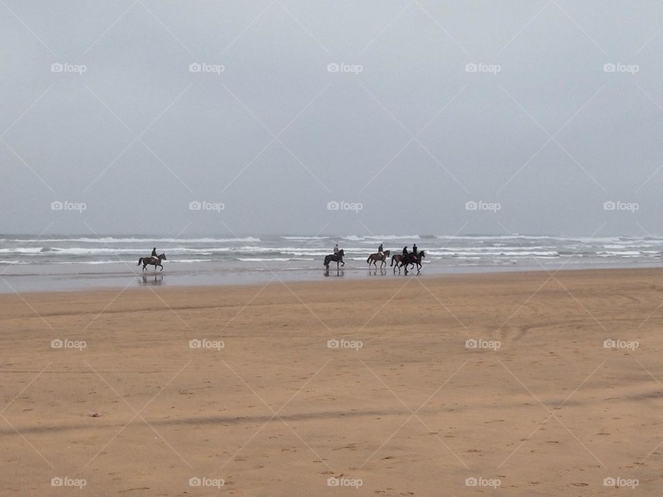 Horses and people in the beach