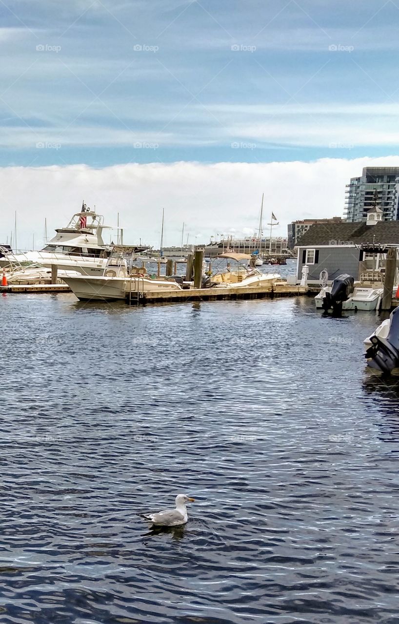 Boston Harbour