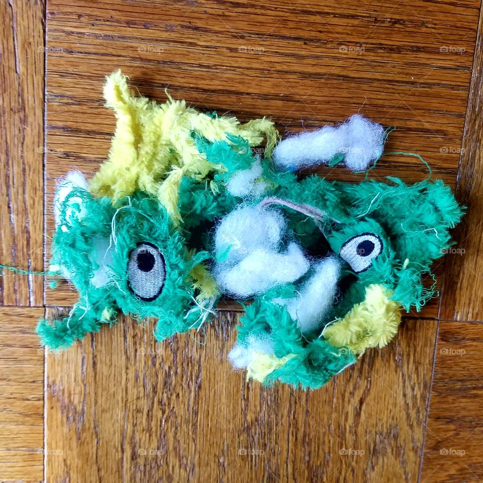 Dog toy destroyed by happy puppy. This was an alligator before it was chewed to shreds.