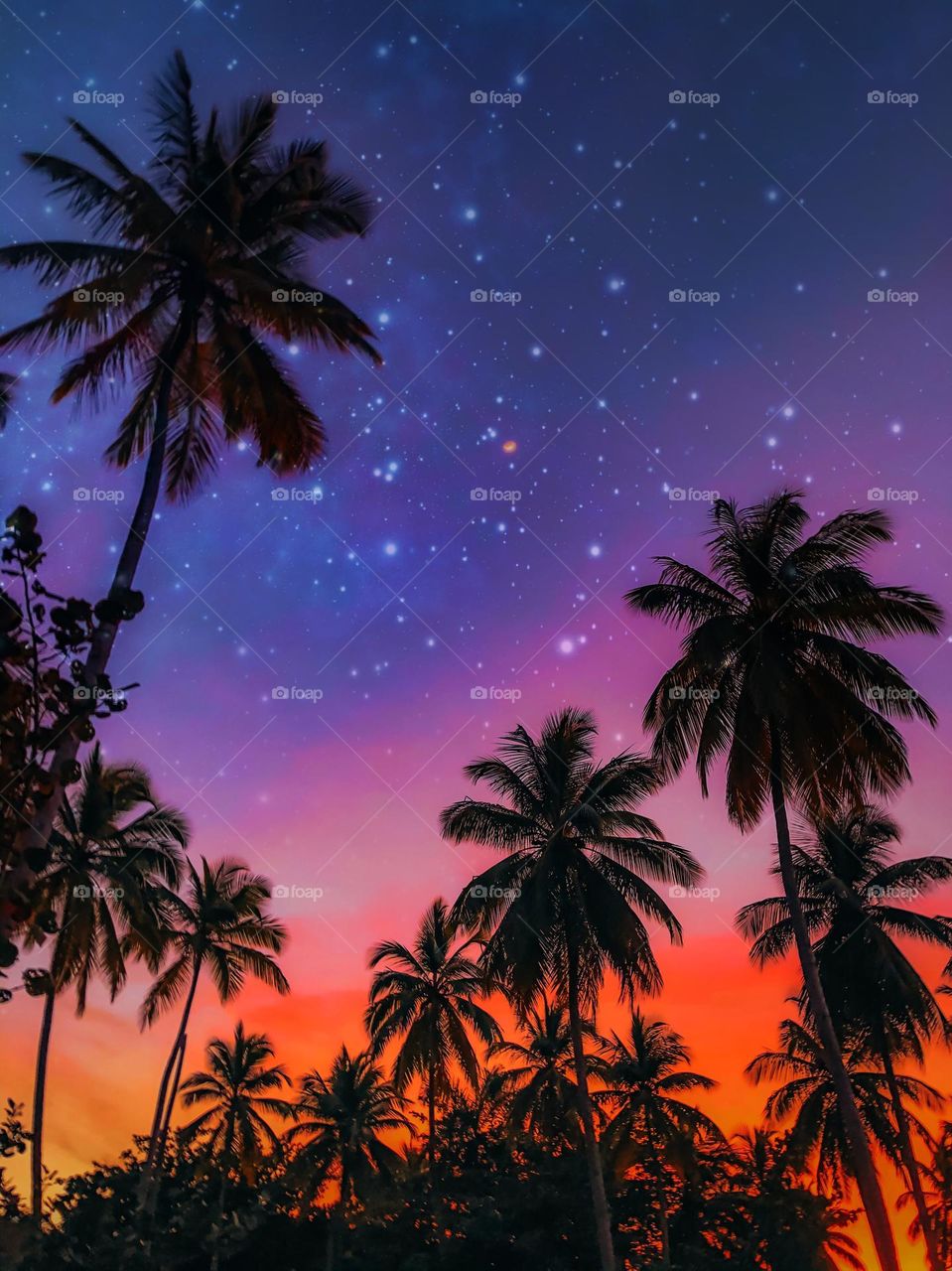 Tropical sunset