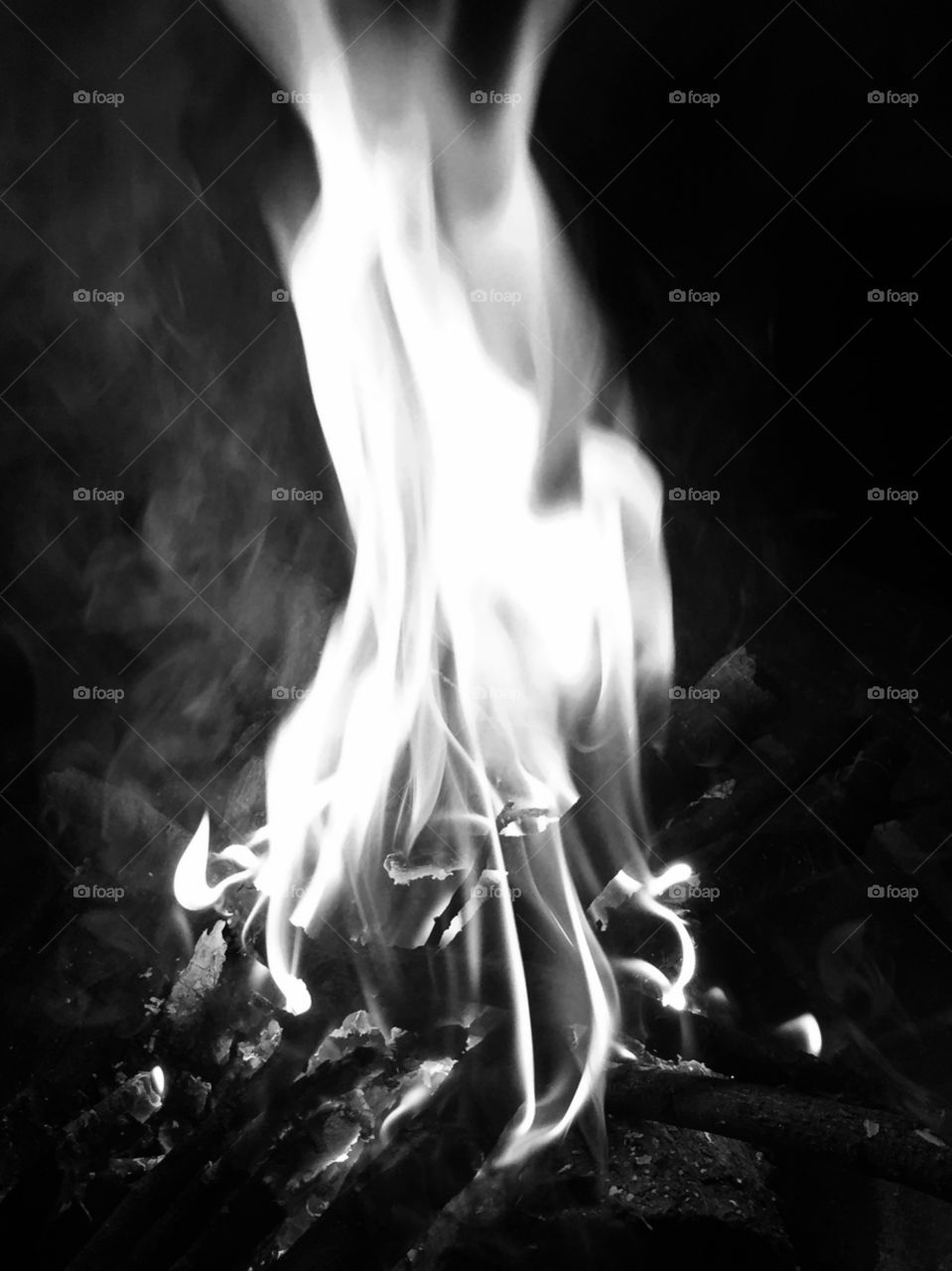 The Movement of Flames 