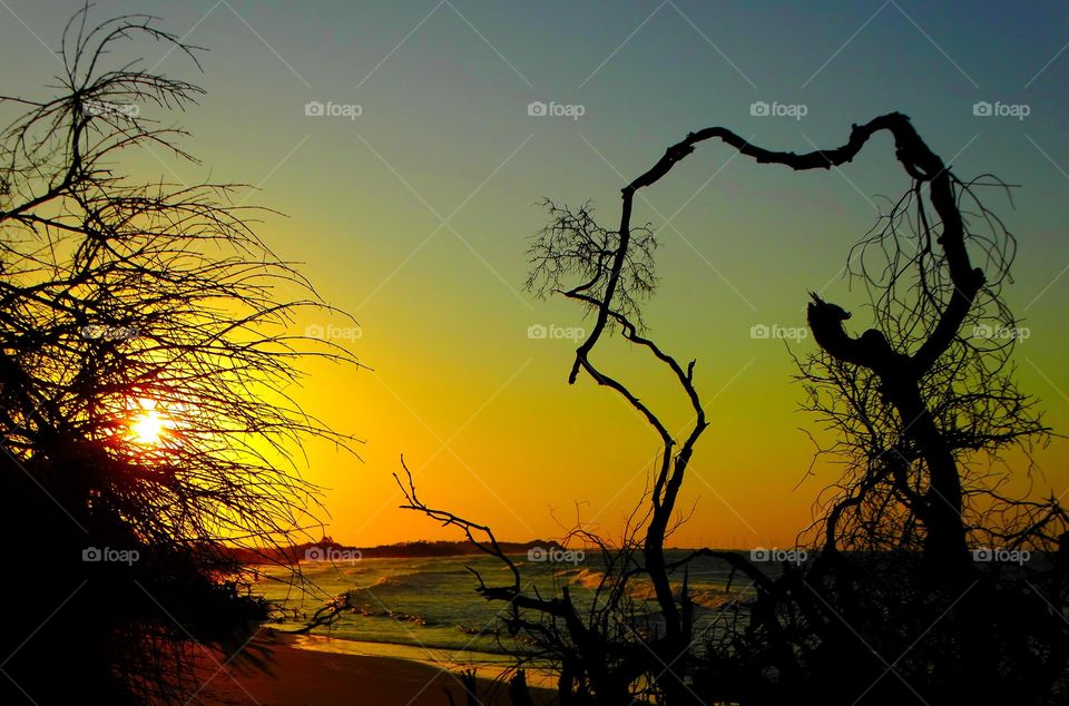 Sunset behind the trees. Another beautiful sunset on a Brazilian beach 