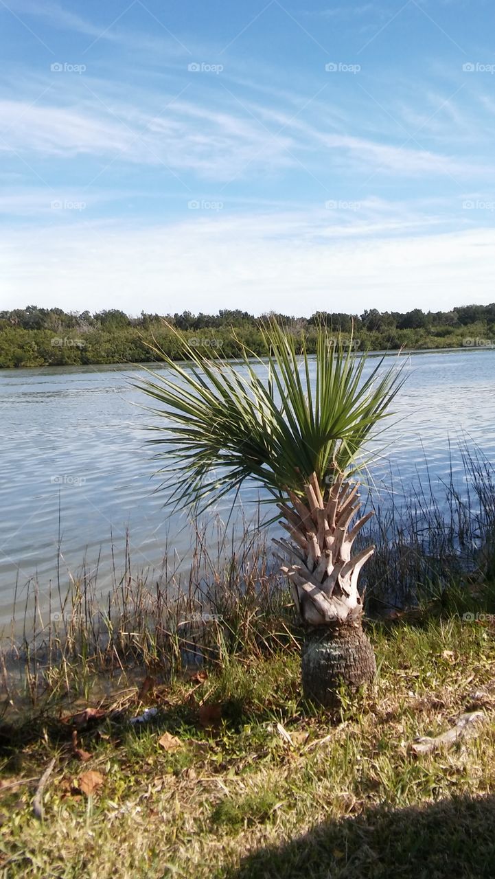Indian River, Oak Hill, Florida