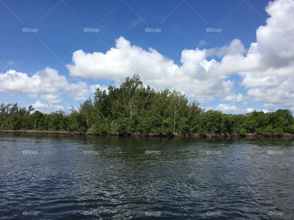 View of the south Florida intercostal waterway and trees