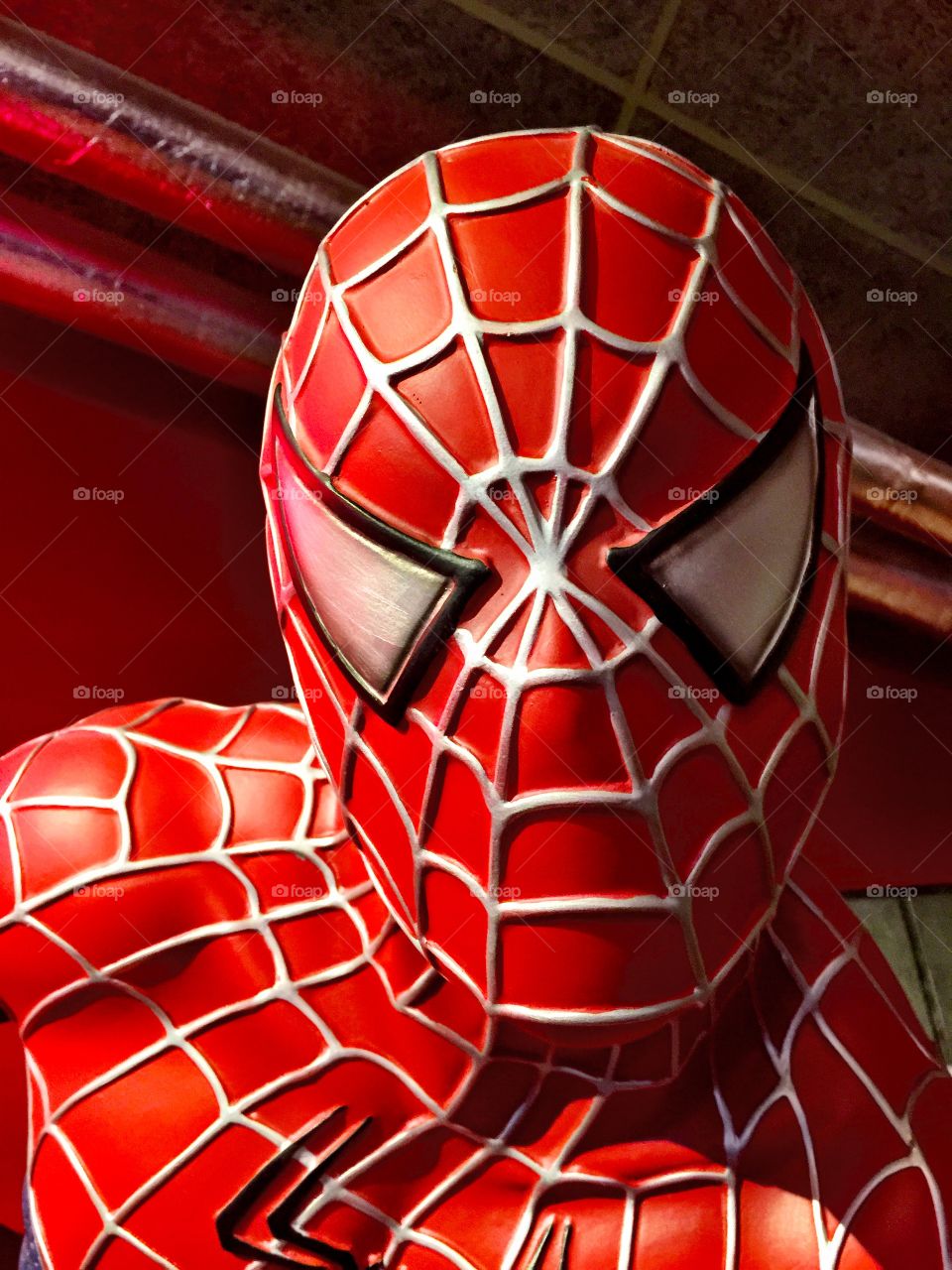 The Spider-Man 