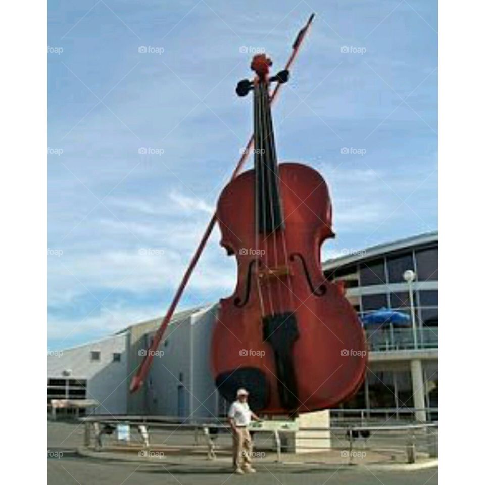 Violin, Bowed Stringed Instrument, Cello, Violinist, Classic