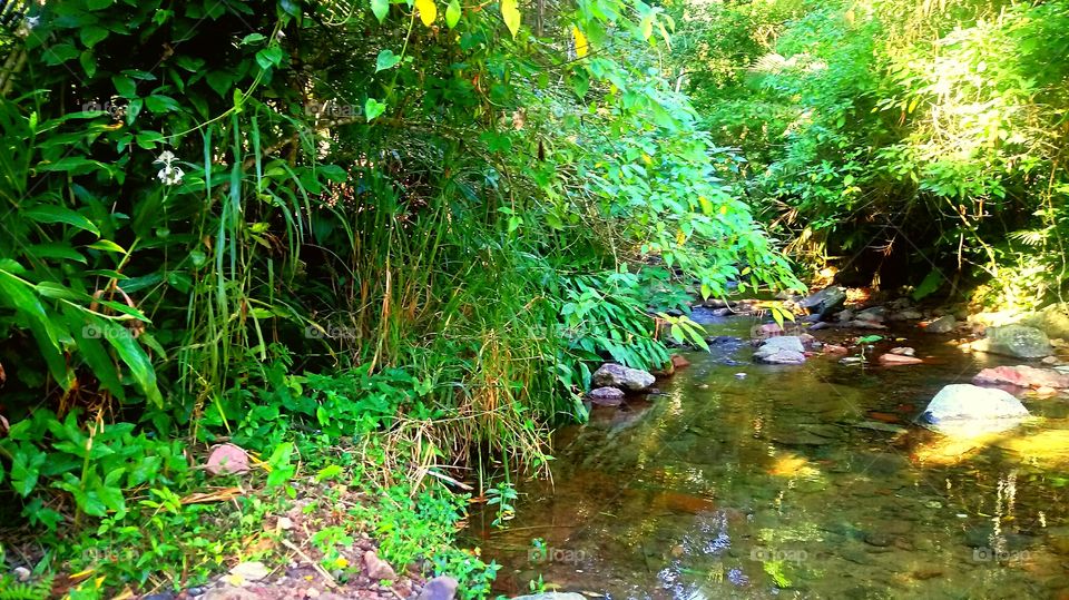 RIACHO ÁGUA VEGETAÇÃO