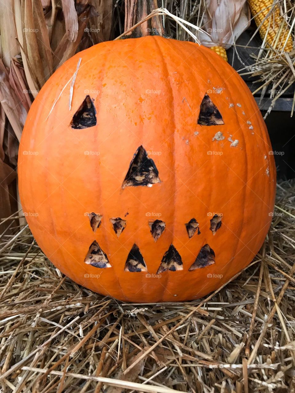 scary pumpkin very