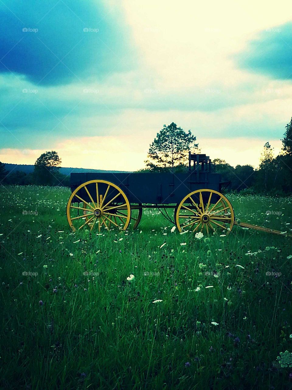Yellow Wheel Wagon