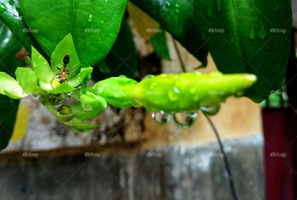 In Every Situation, Never Give Up