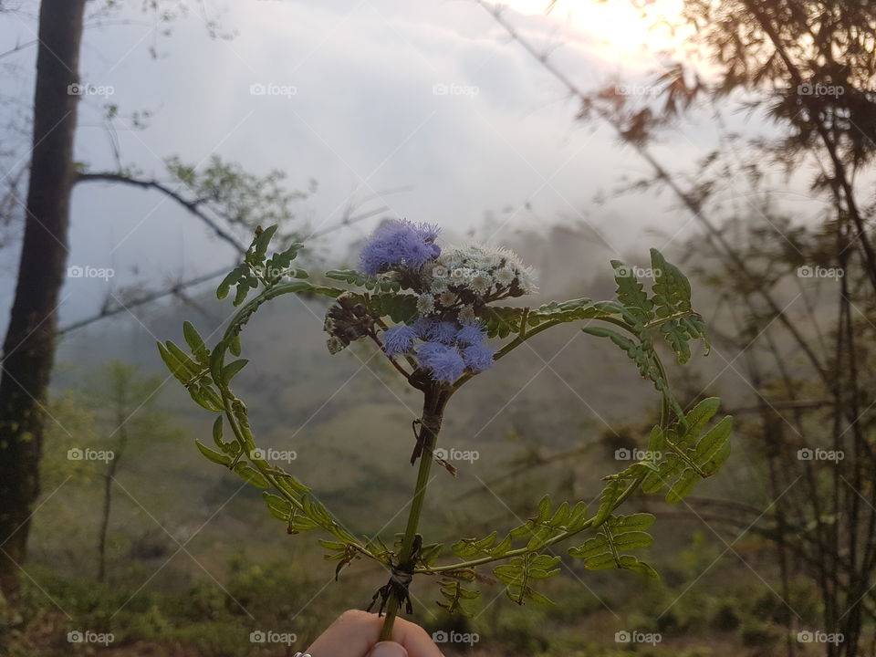 trekking in Sapa, Vietnam