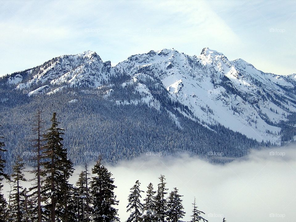 View of trees with mountains