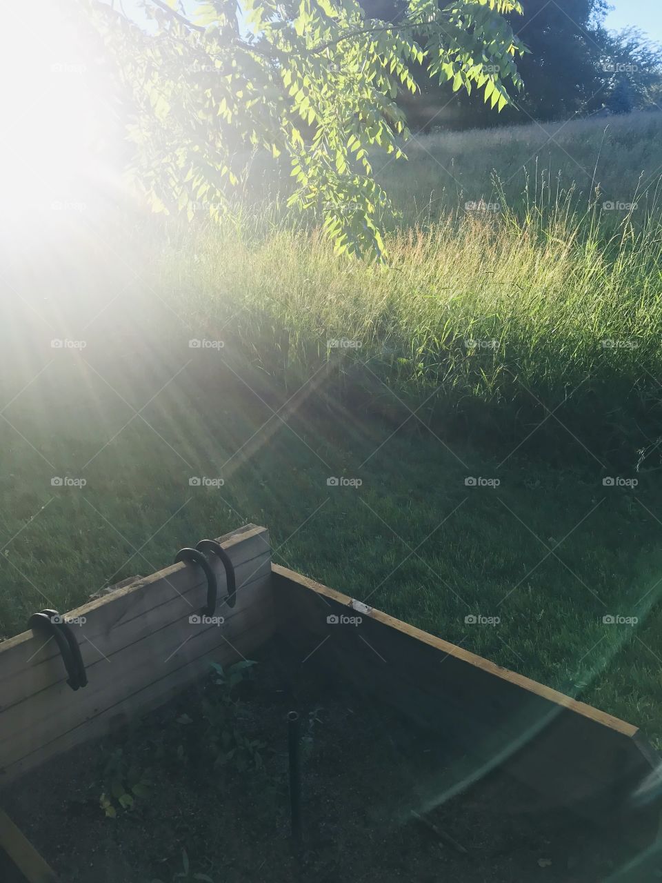 Gorgeous sunset with sun shining through tree branches, beautiful grassy field and fun horse shoe pit. 