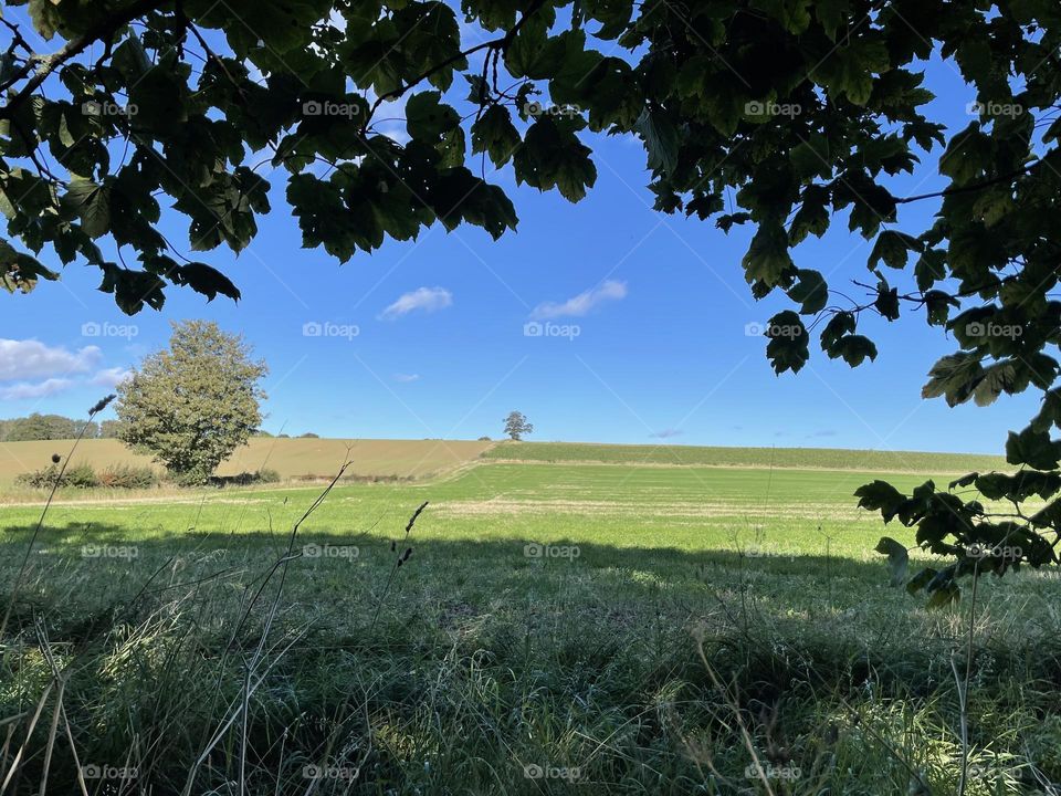 Countryside walk 