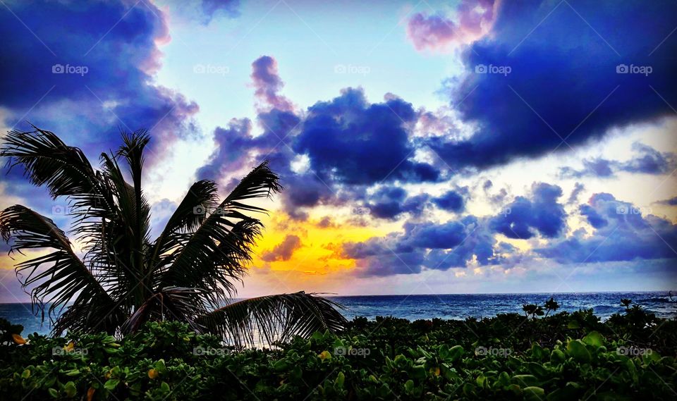 Turtle Bay Sunset 