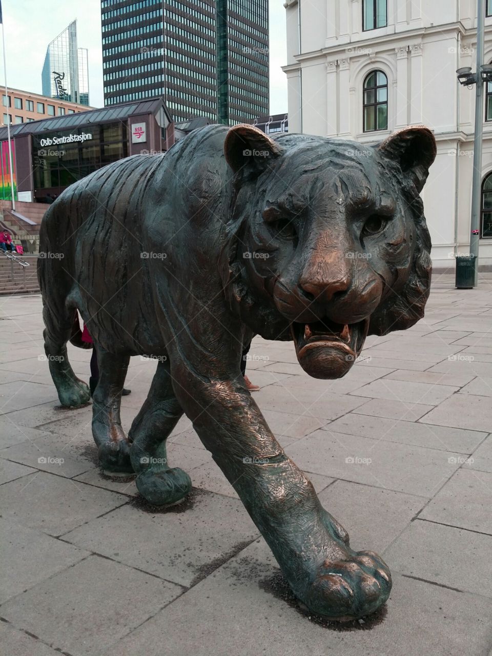 Oslo's Tiger