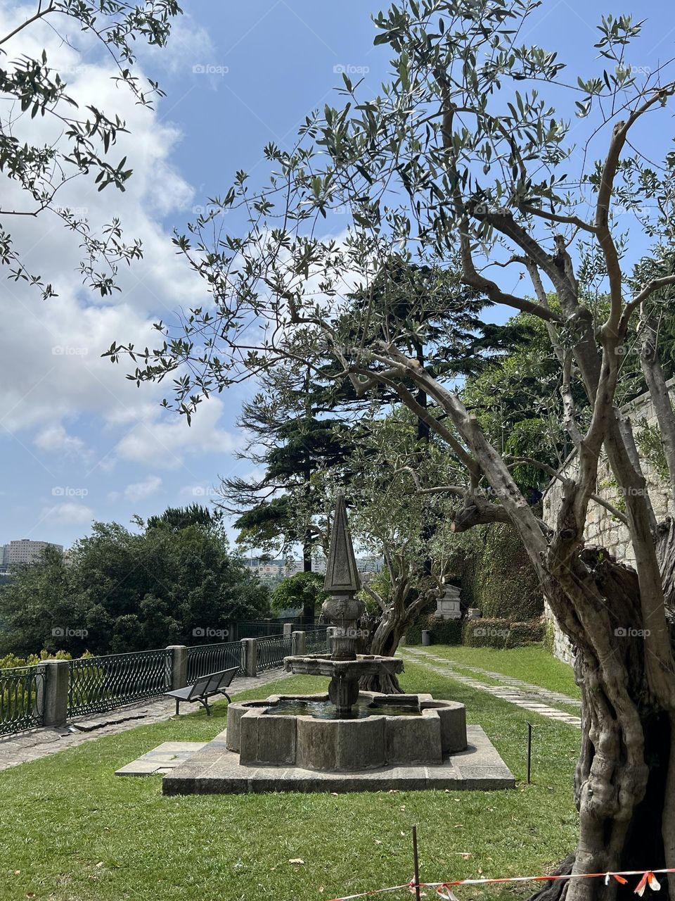Fountain in the garden