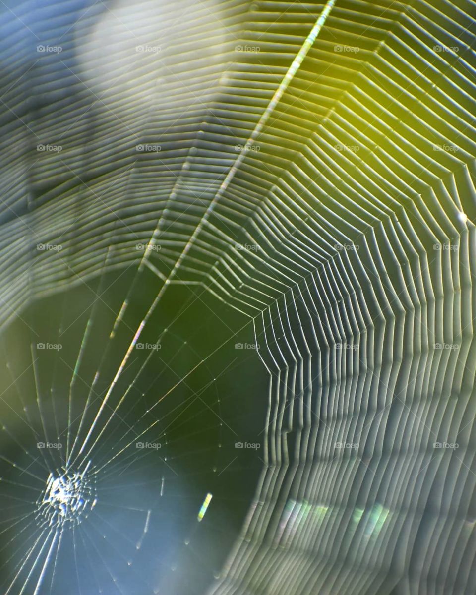 A web
