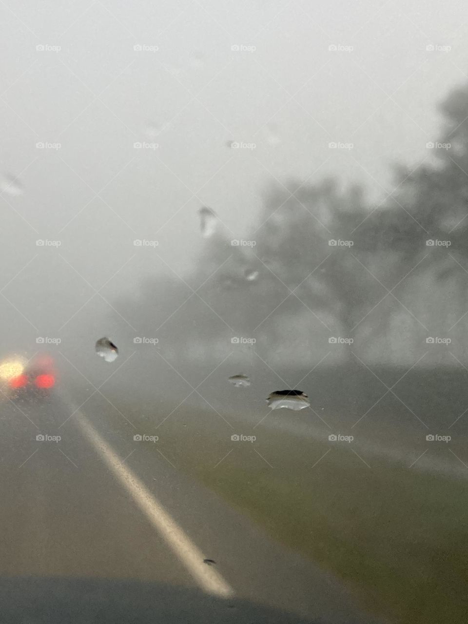 Morning Foggy Road with Trees on the side of the sidewalk
