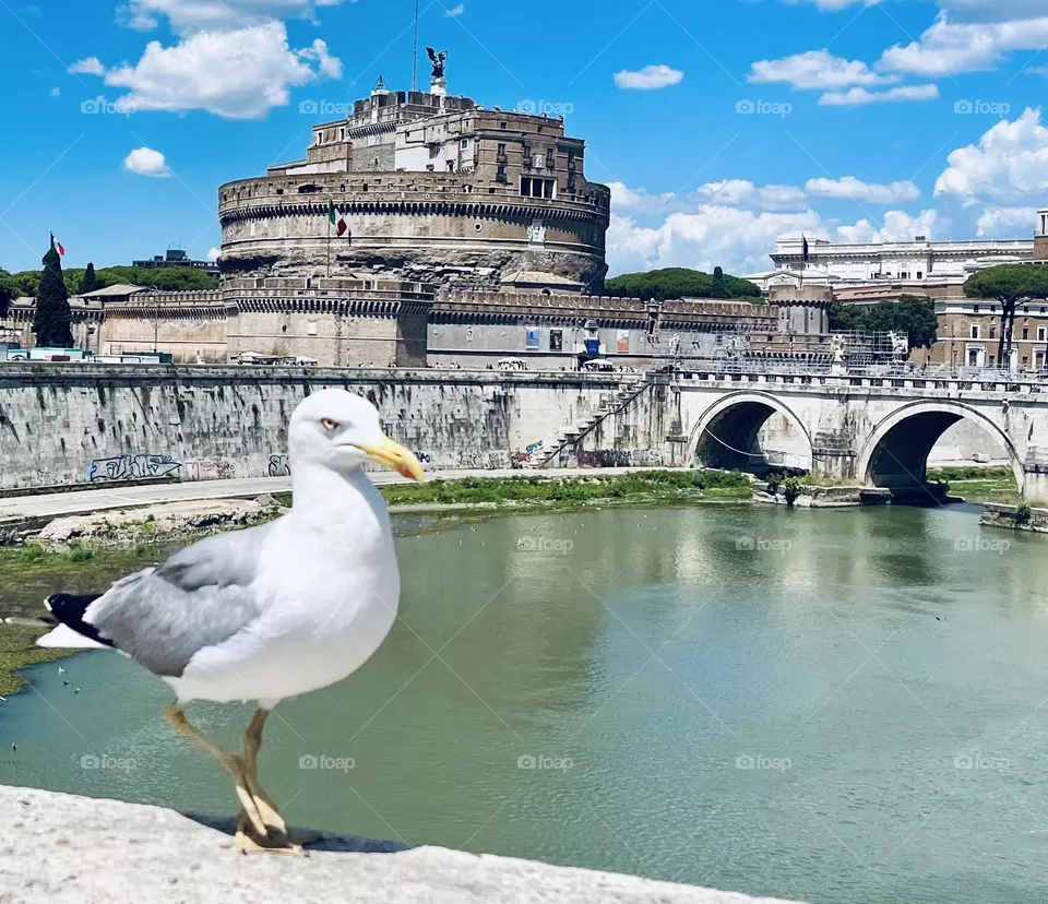 Roma