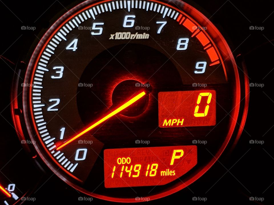 gauge speedometer