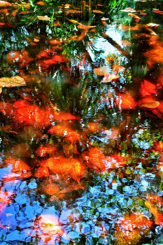 Reflections on lake
