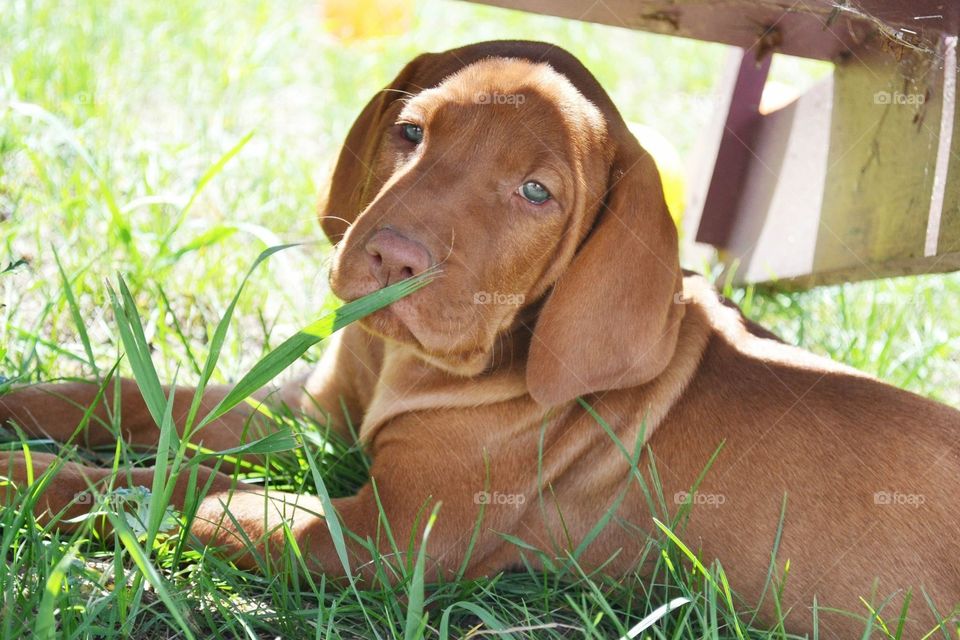 This is my pout face.