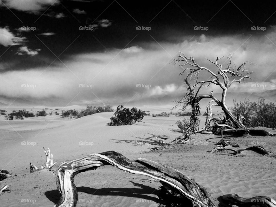 Sand Dunes, Death Valley 