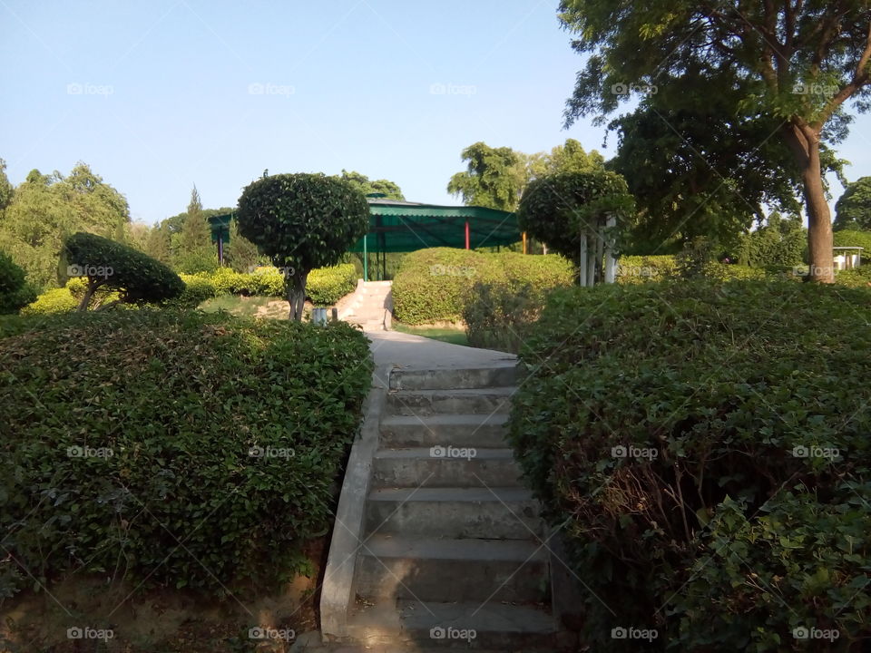 a beautiful sight in garden