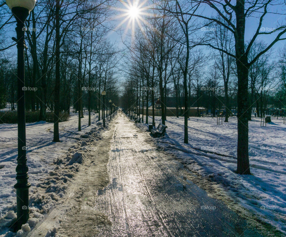 Road in the park 