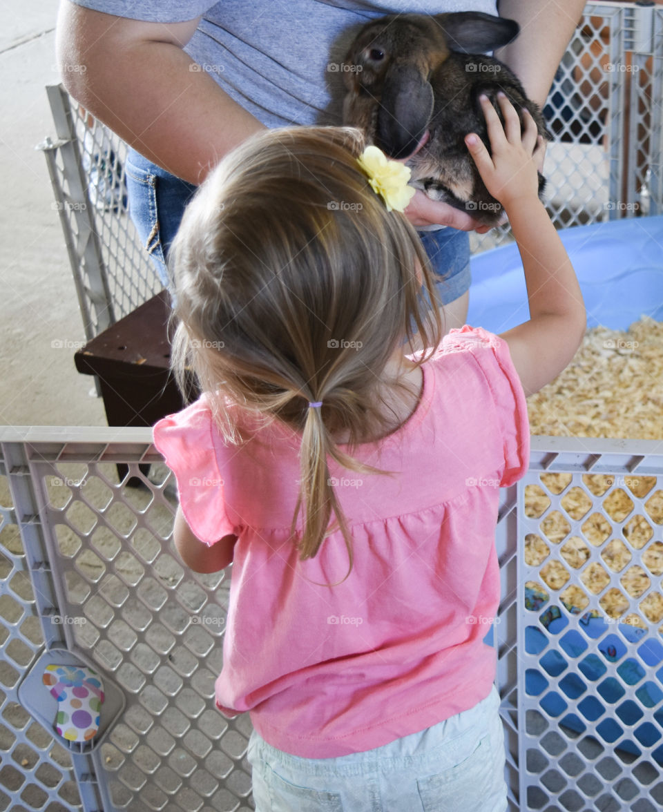 Girl petting a rabbit at the state /county fair